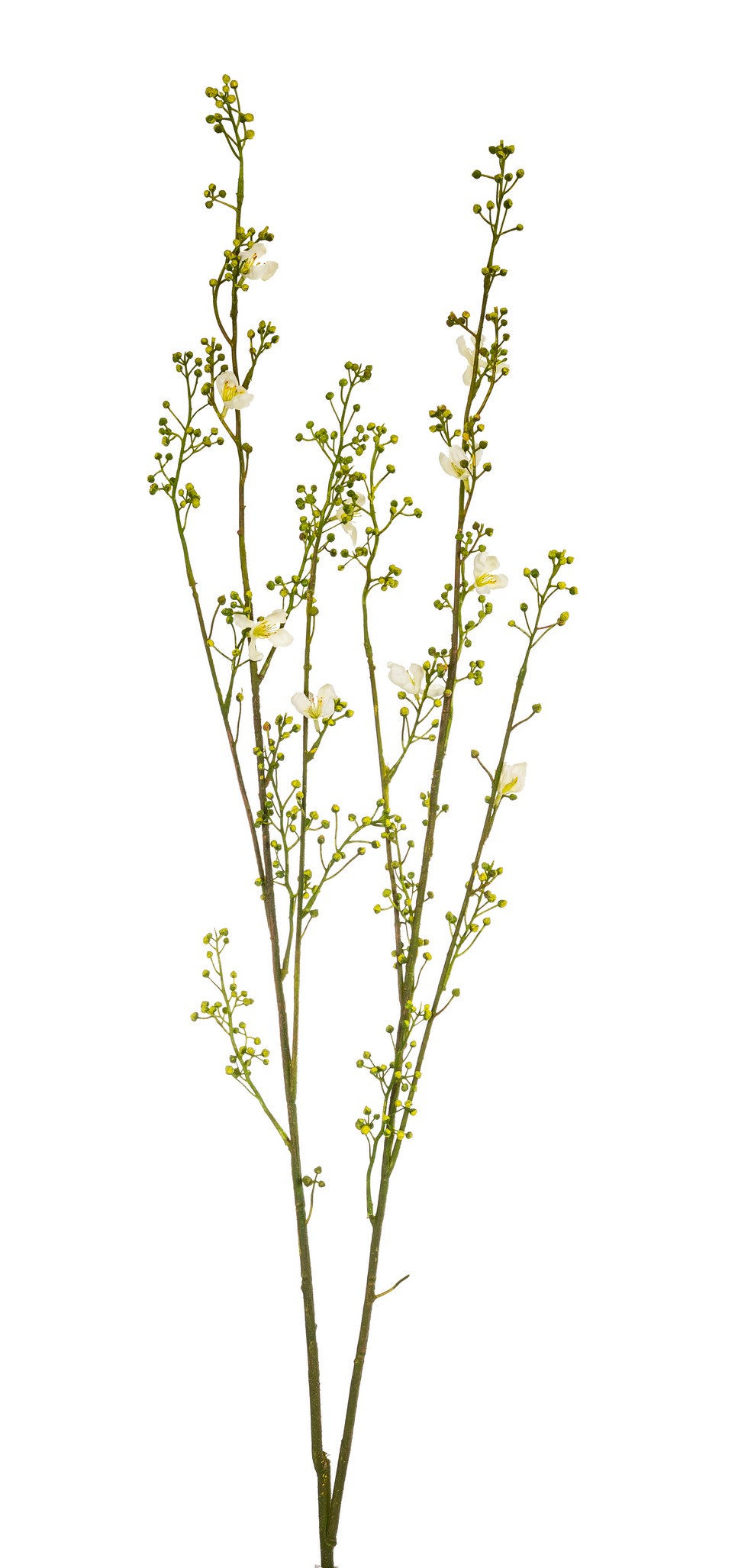 Eibischknospenzweig 6-fach 95cm Farbe: weiß