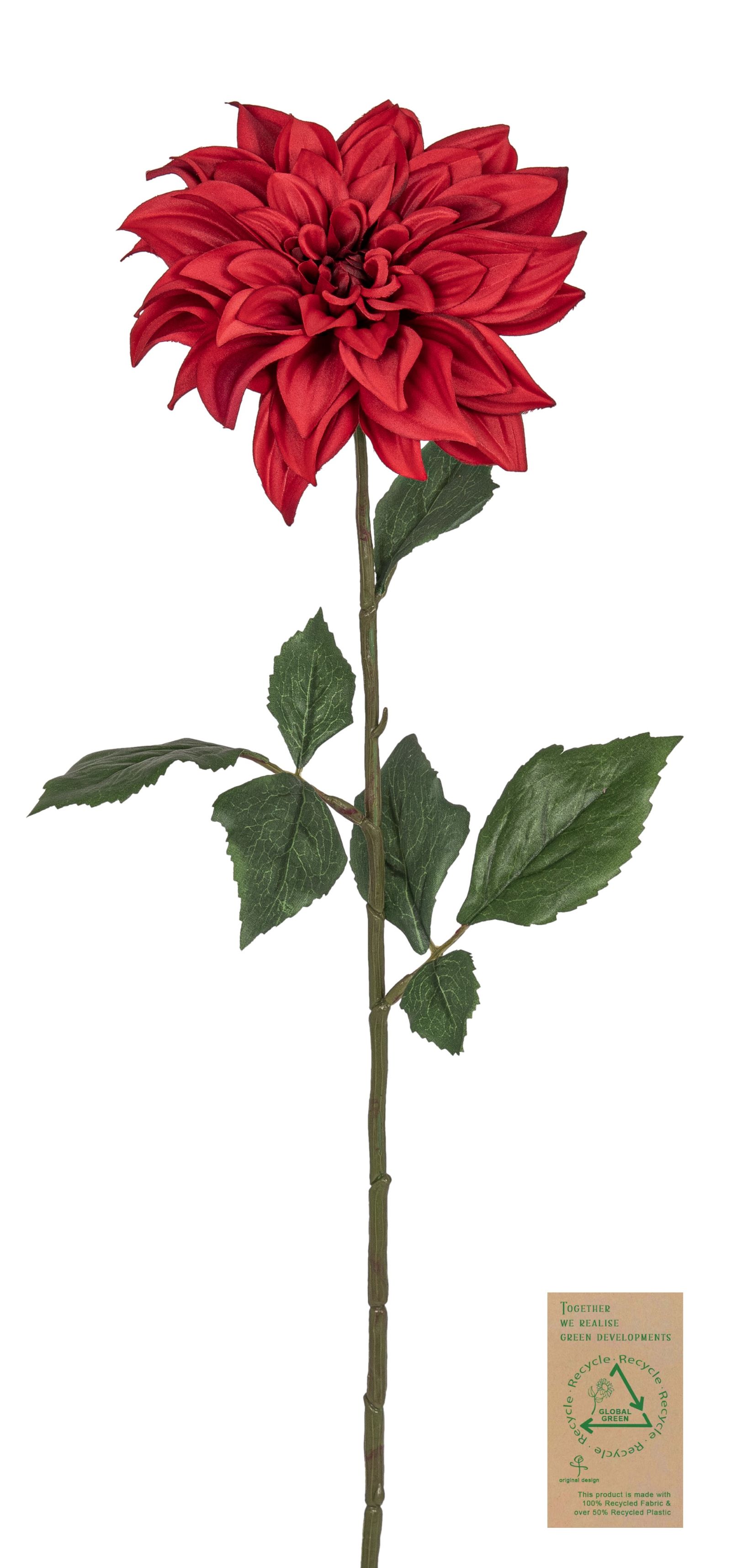 Dahlie RE 65cm Blütenkopf Ø ca. 15cm Farbe: rot