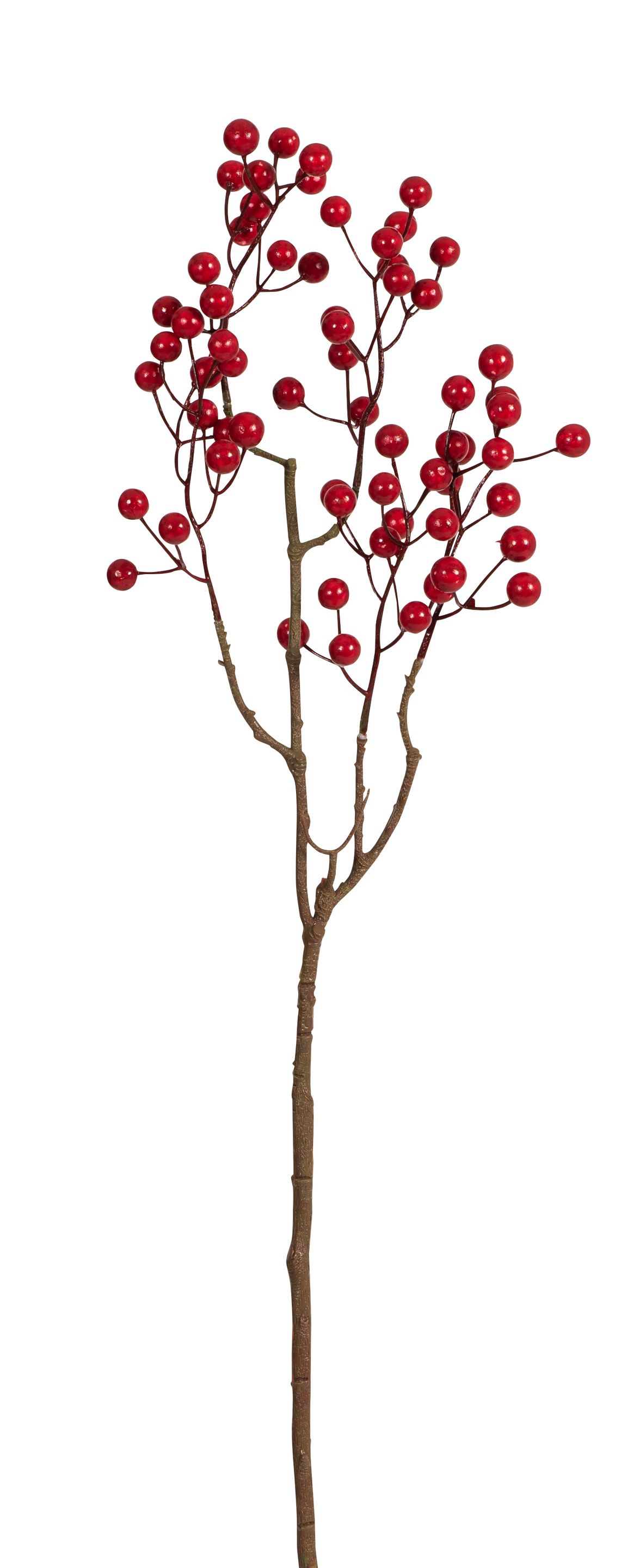 Beerenast 5-fach 66cm Farbe: rot