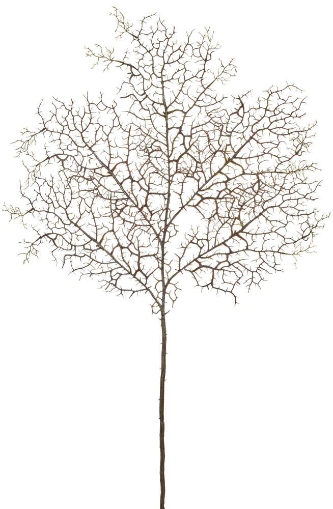 Korallenzweig 5-fach 88cm Farbe: braun