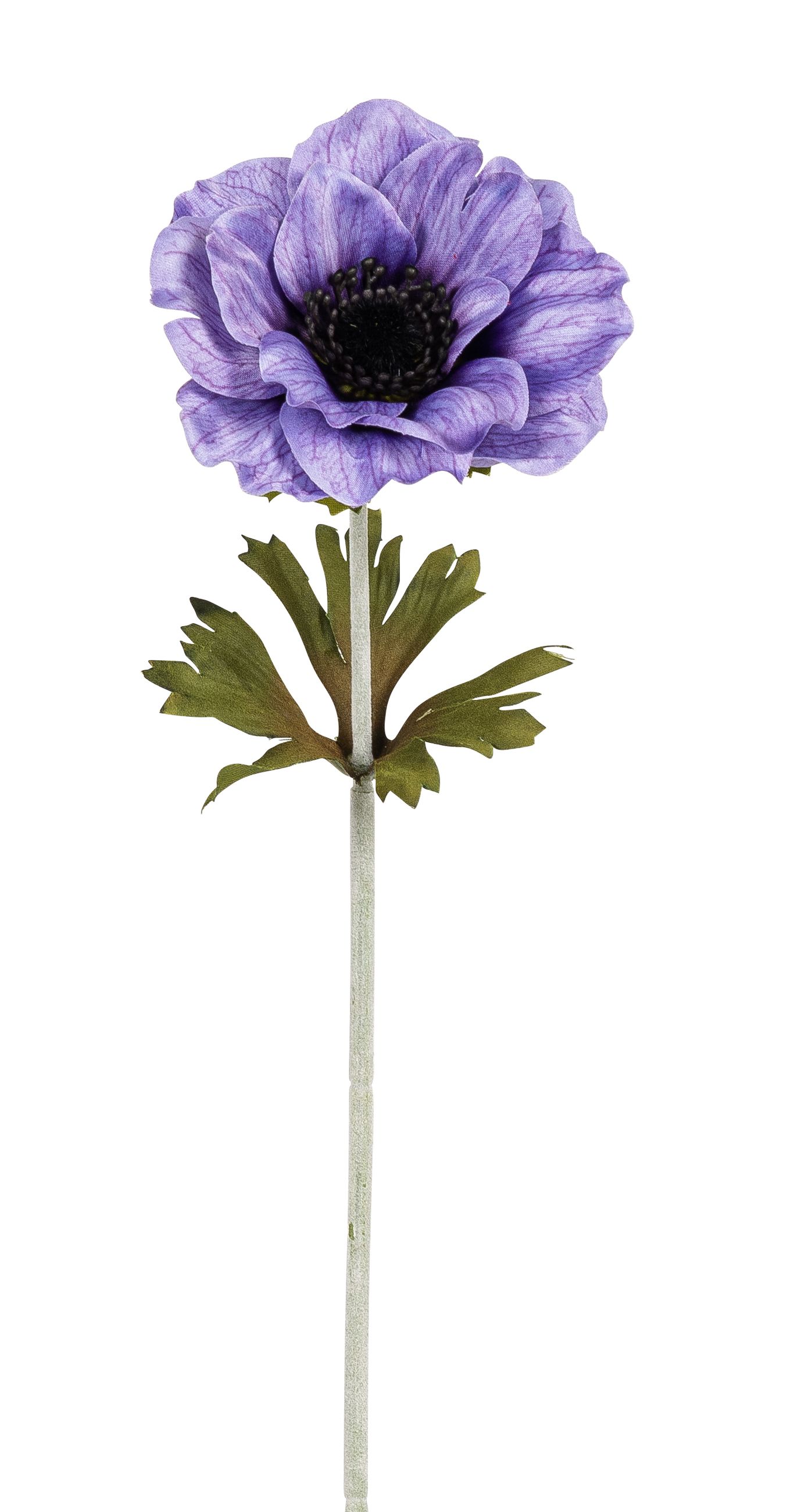 Anemone 35cm Blütenkopf Ø ca. 10cm Farbe: helllila