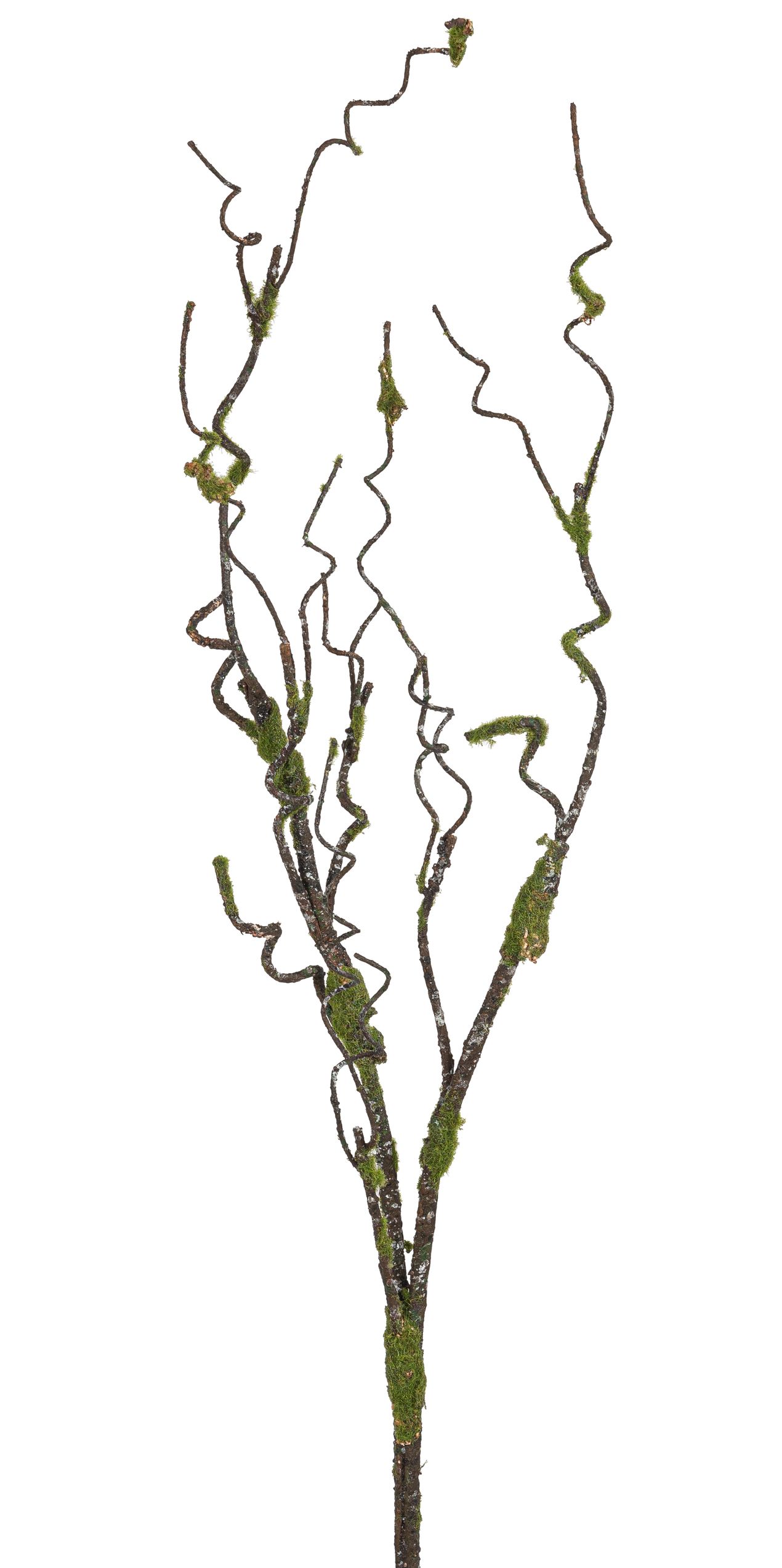 Flechtenast 94cm Farbe: natur