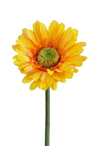 Gerbera 57cm Blütenkopf Ø ca. 10,5cm Farbe: gelb
