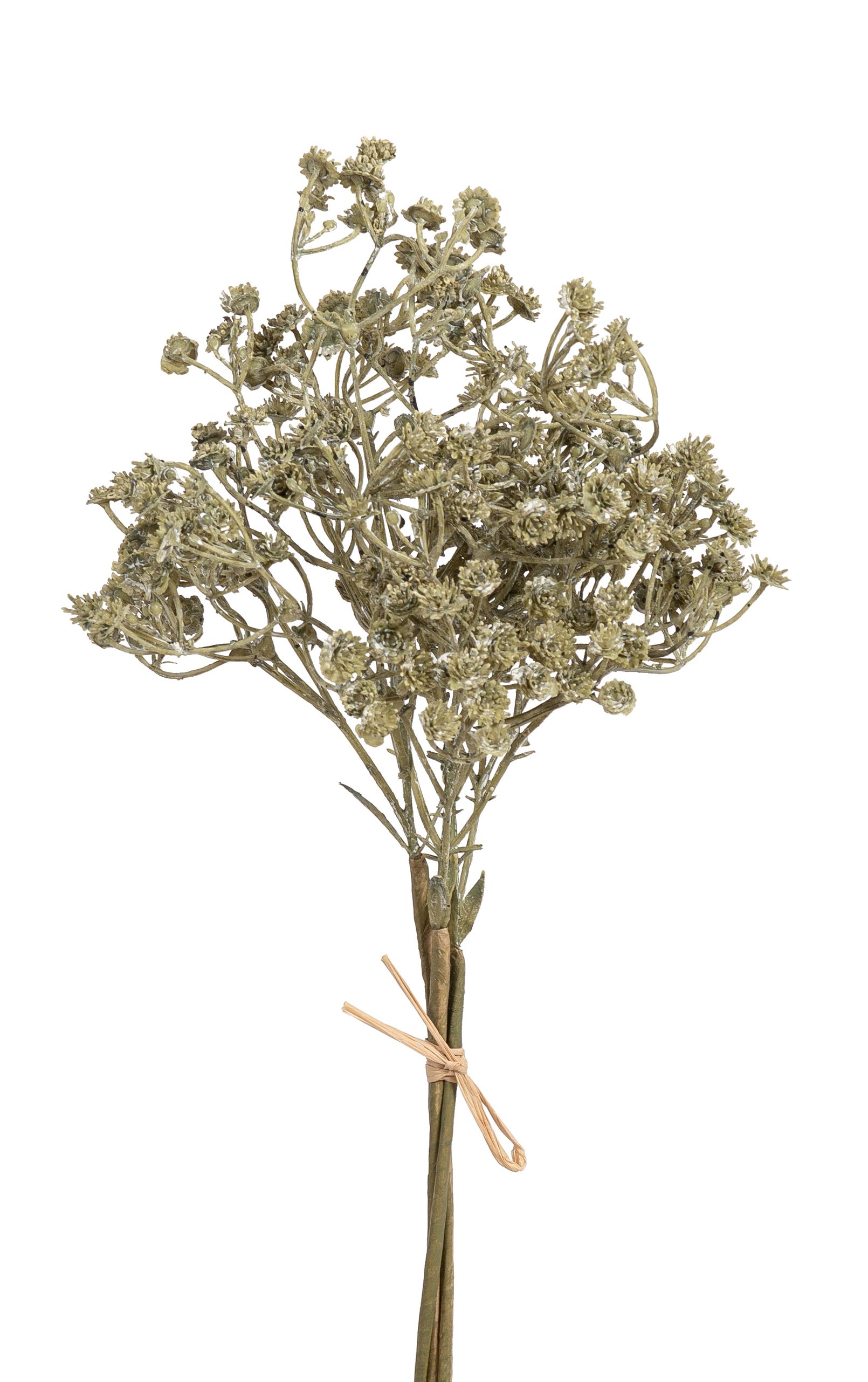 Gypsophilabund x 3 35cm Farbe: hellgrün