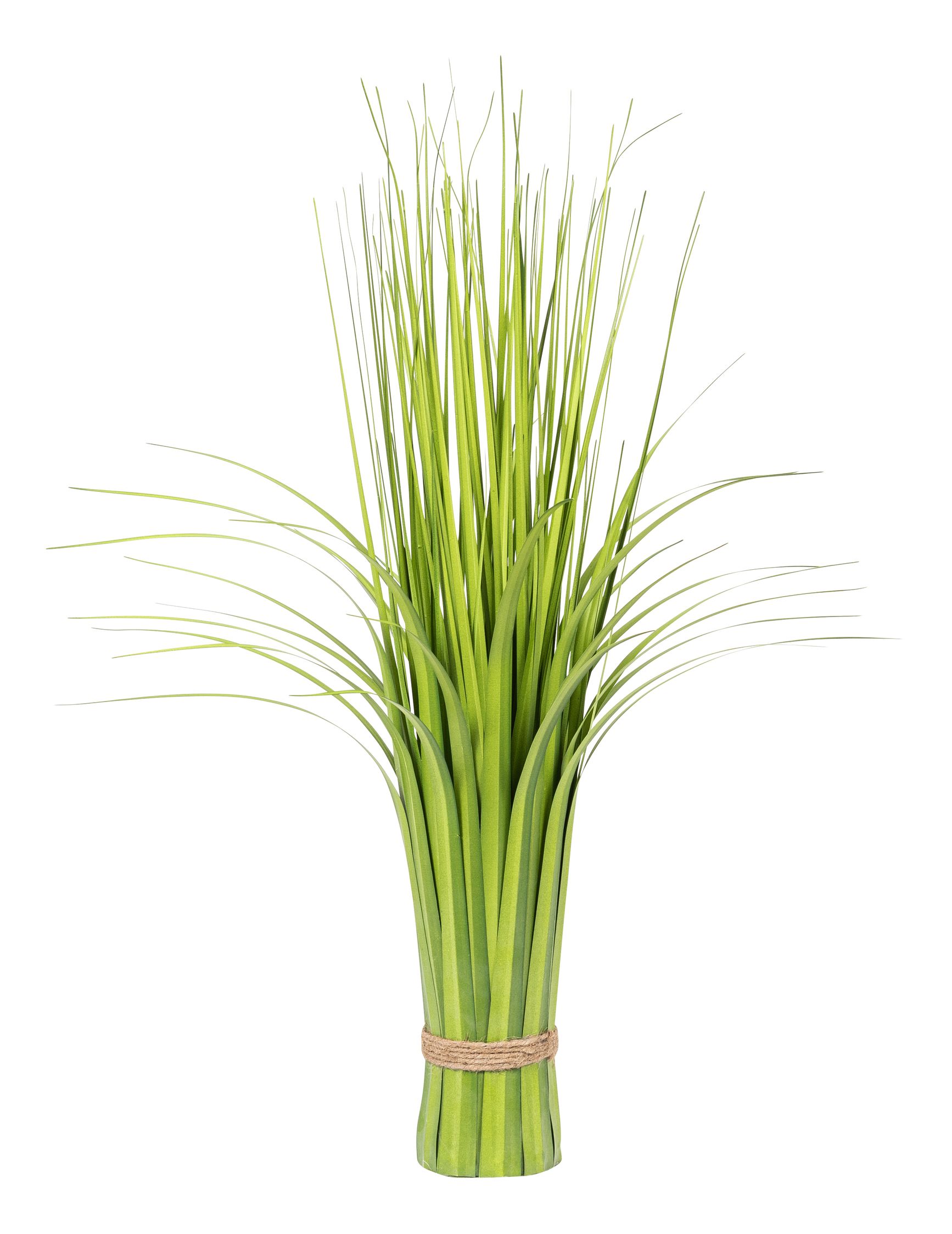 Grasbund stehend 64cm Farbe: grün
