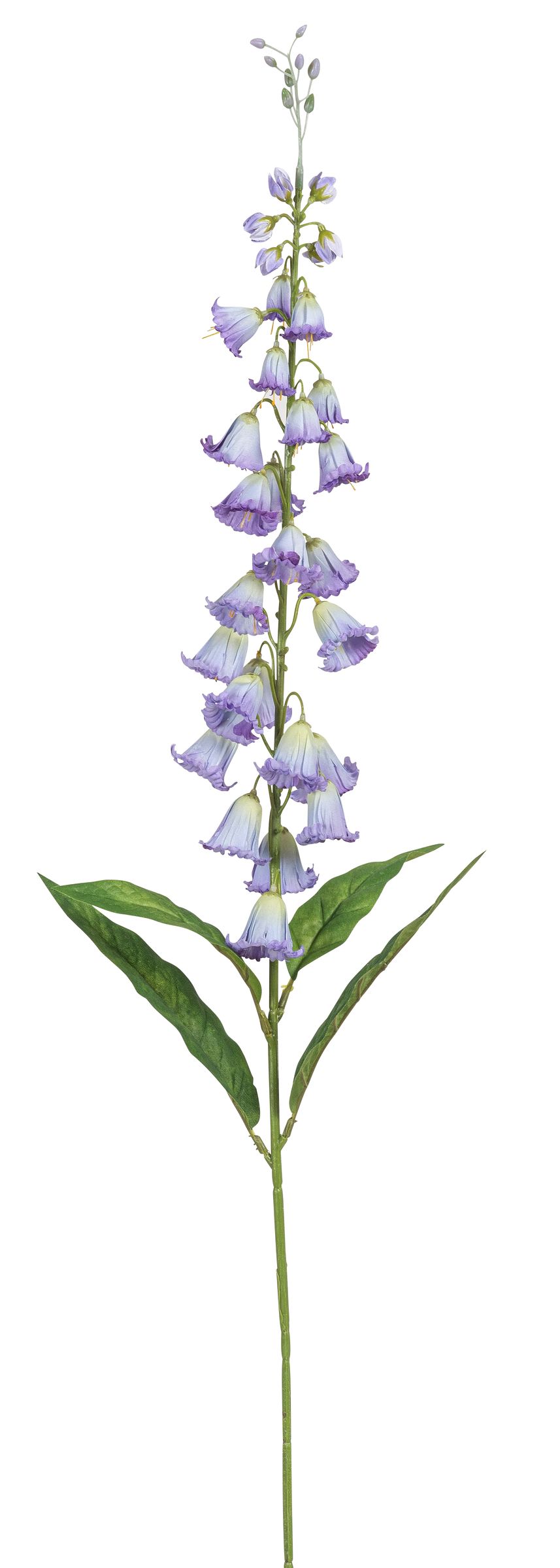 Glockenblume x 32 97cm Farbe: blaulila