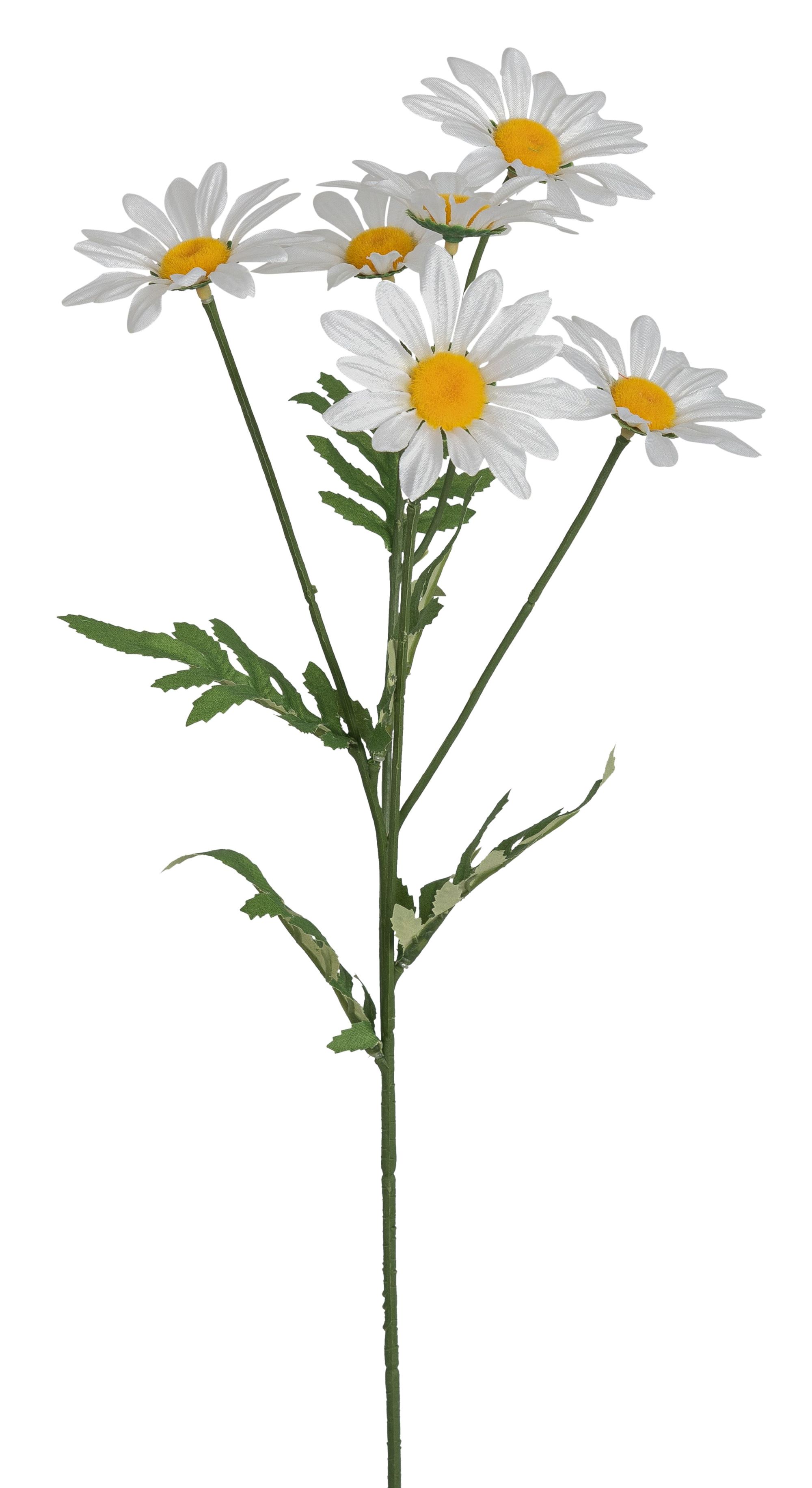 Margeritenzweig x 6 49cm Blütenkopf Ø ca. 6,5cm Farbe: weiß