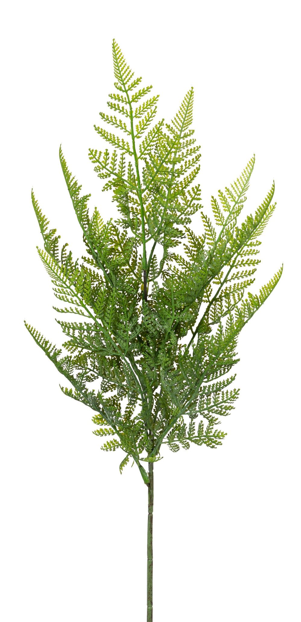 Waldfarnzweig x12 68cm Farbe: grün