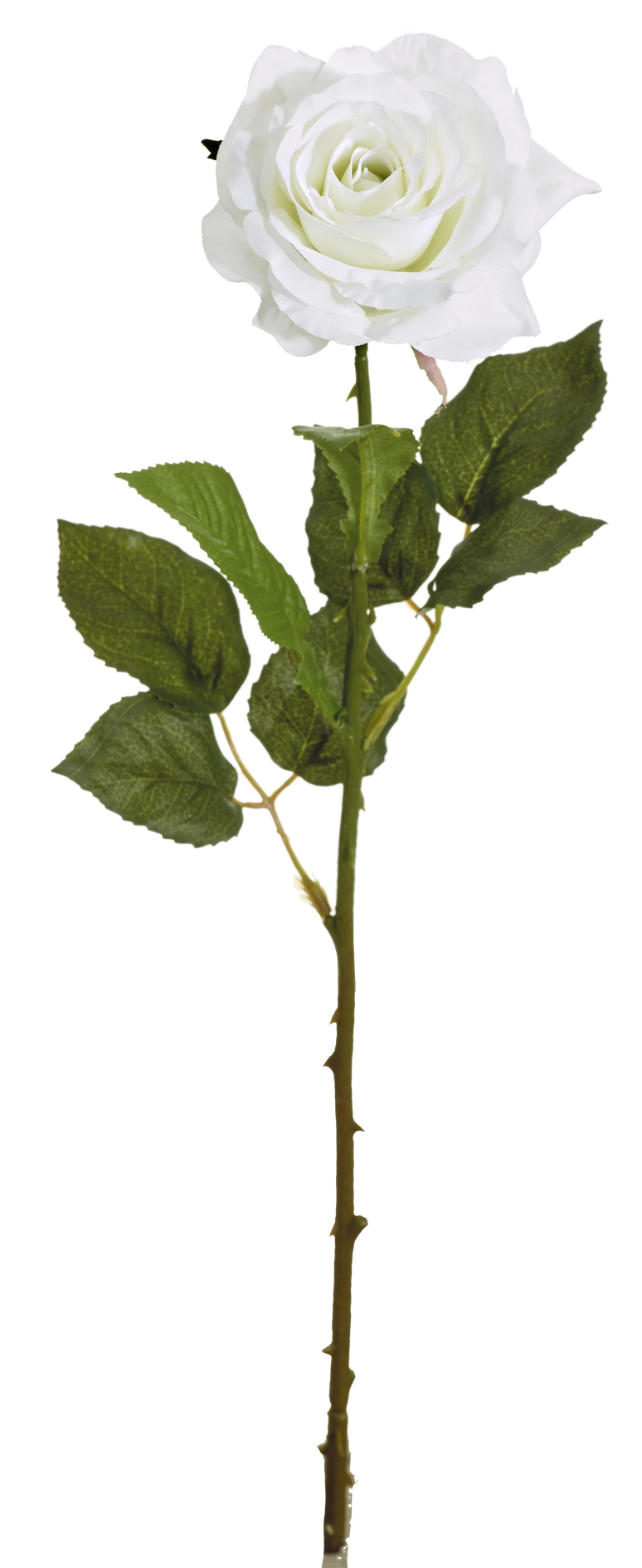 Duftrose 52cm Blütenkopf Ø ca. 8cm Farbe: weiß