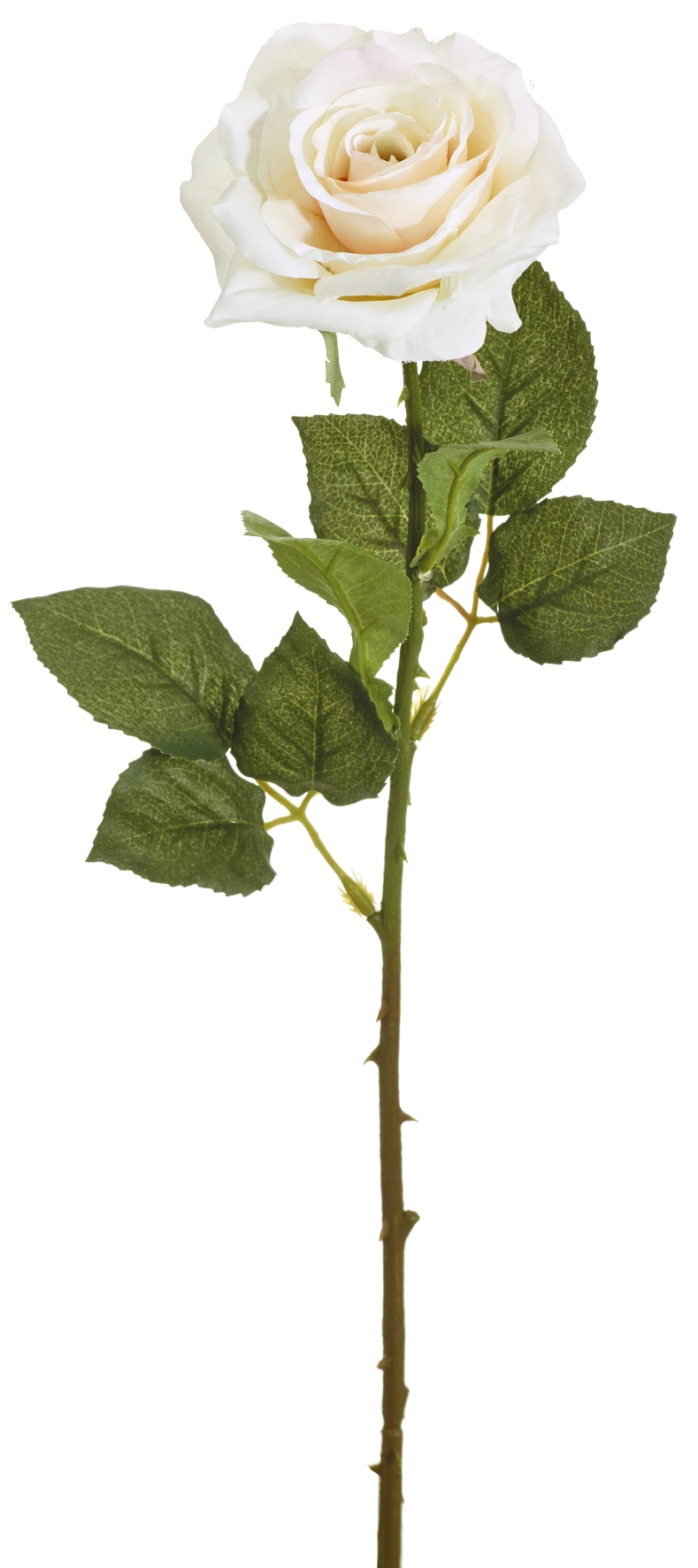 Duftrose 52cm Blütenkopf Ø ca. 8cm Farbe: lachs
