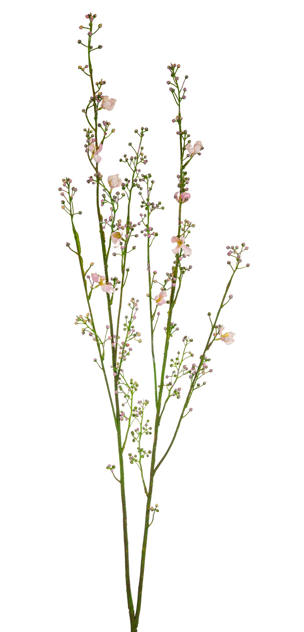 Eibischknospenzweig 6-fach 95cm Farbe: rosé