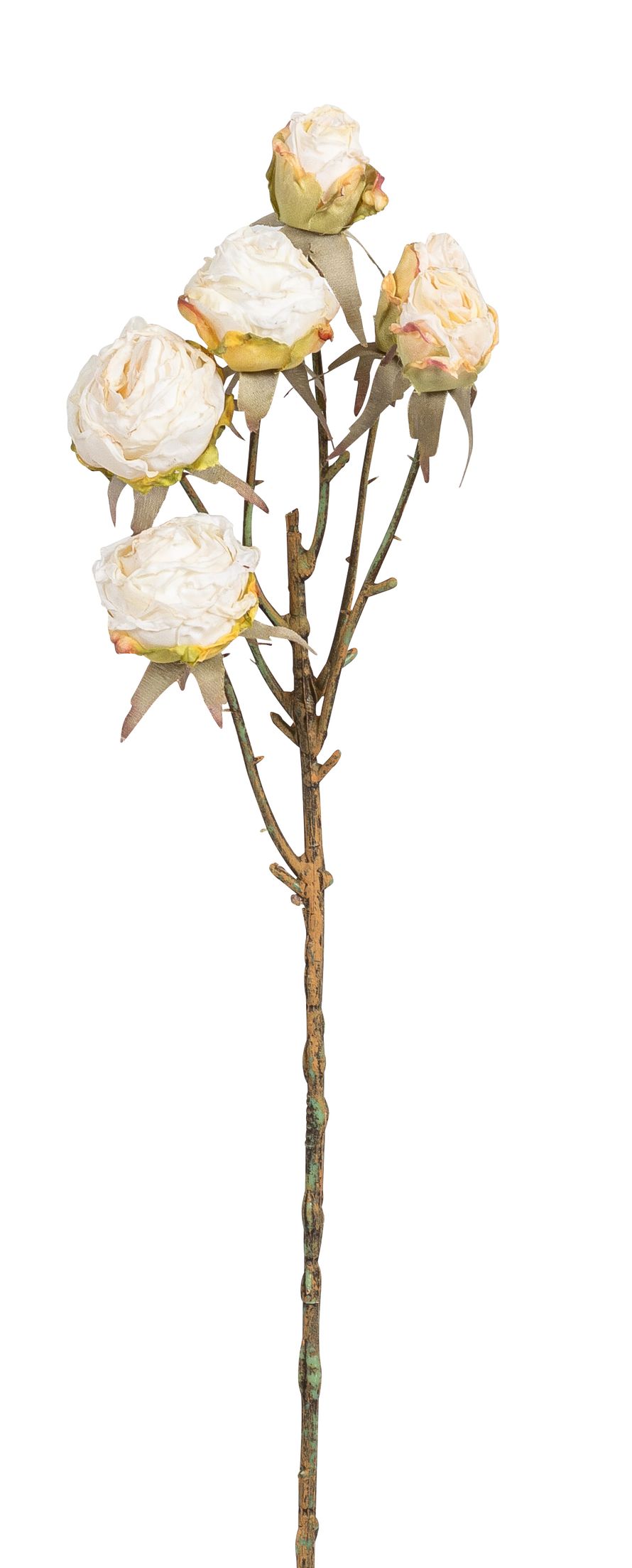 Röschenzweig x 6 52cm Blütenkopf Ø ca. 2,5/4cm Farbe: elfenbein