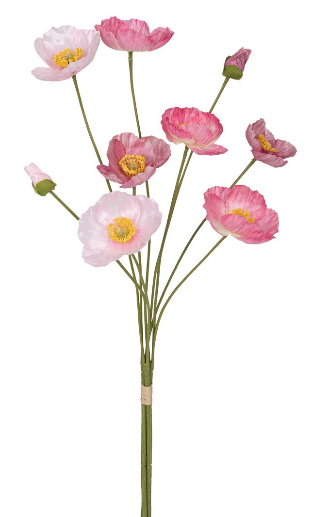 Mohnblumenbund x 9 60cm Blütenkopf Ø ca. 1,5/6/7cm Farbe: rosé-gemischt