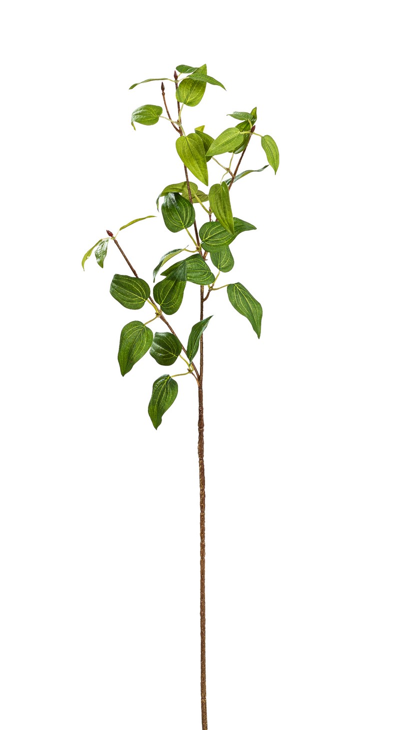 Efeututenblätterzweig 5-fach 64cm Farbe: grün