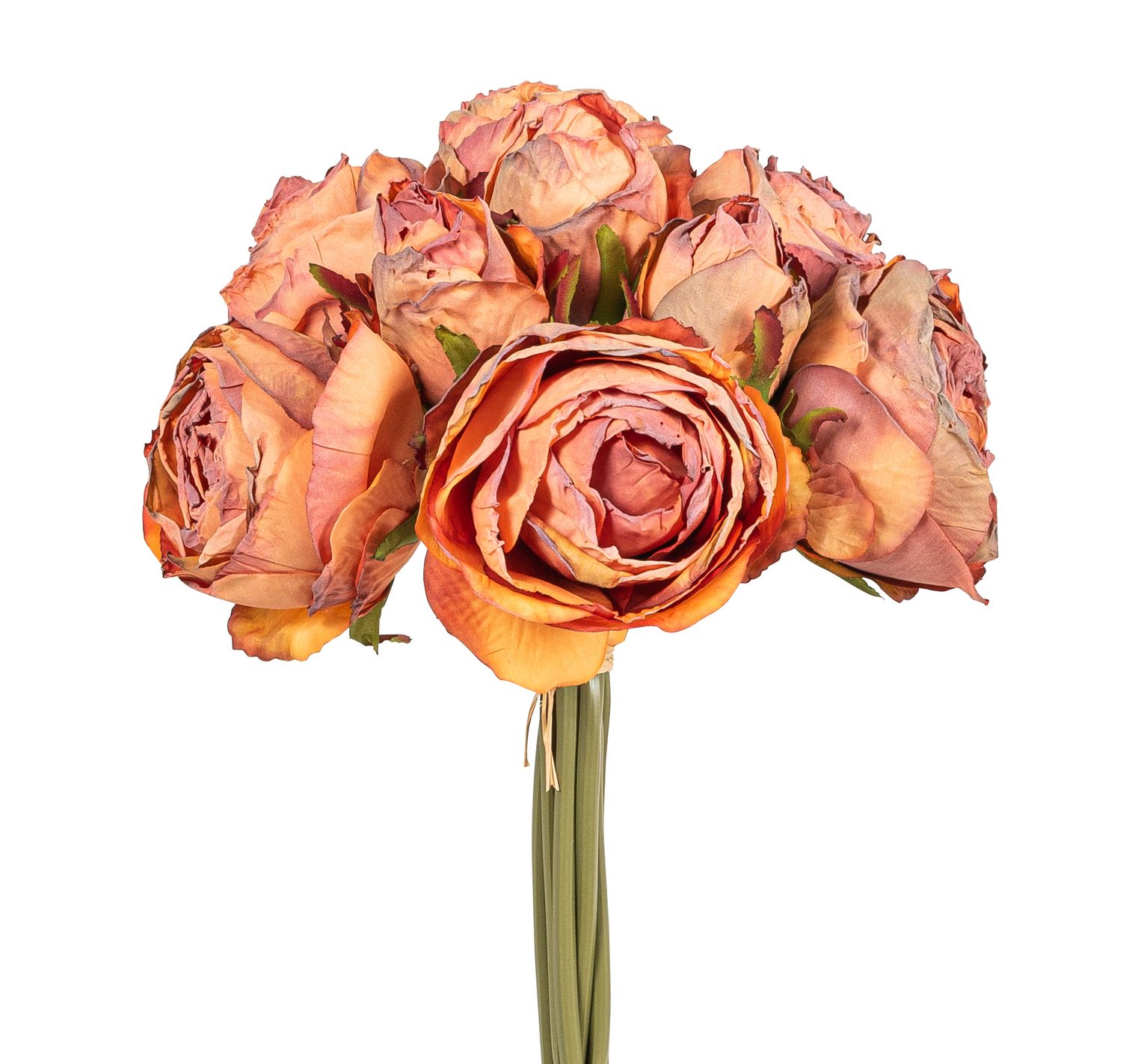 Rosenbund x 9 28cm Blütenkopf Ø ca. 6/7,5cm Farbe: lachs
