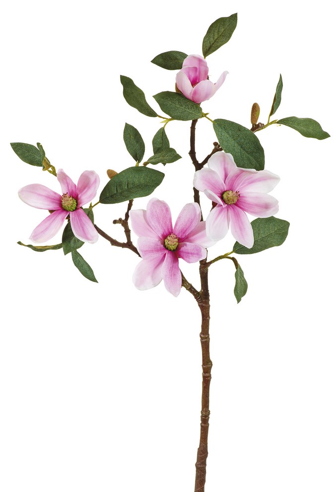Magnolienzweig x 4 48cm Blütenkopf Ø ca. 6/10cm Farbe: rosé-gemischt