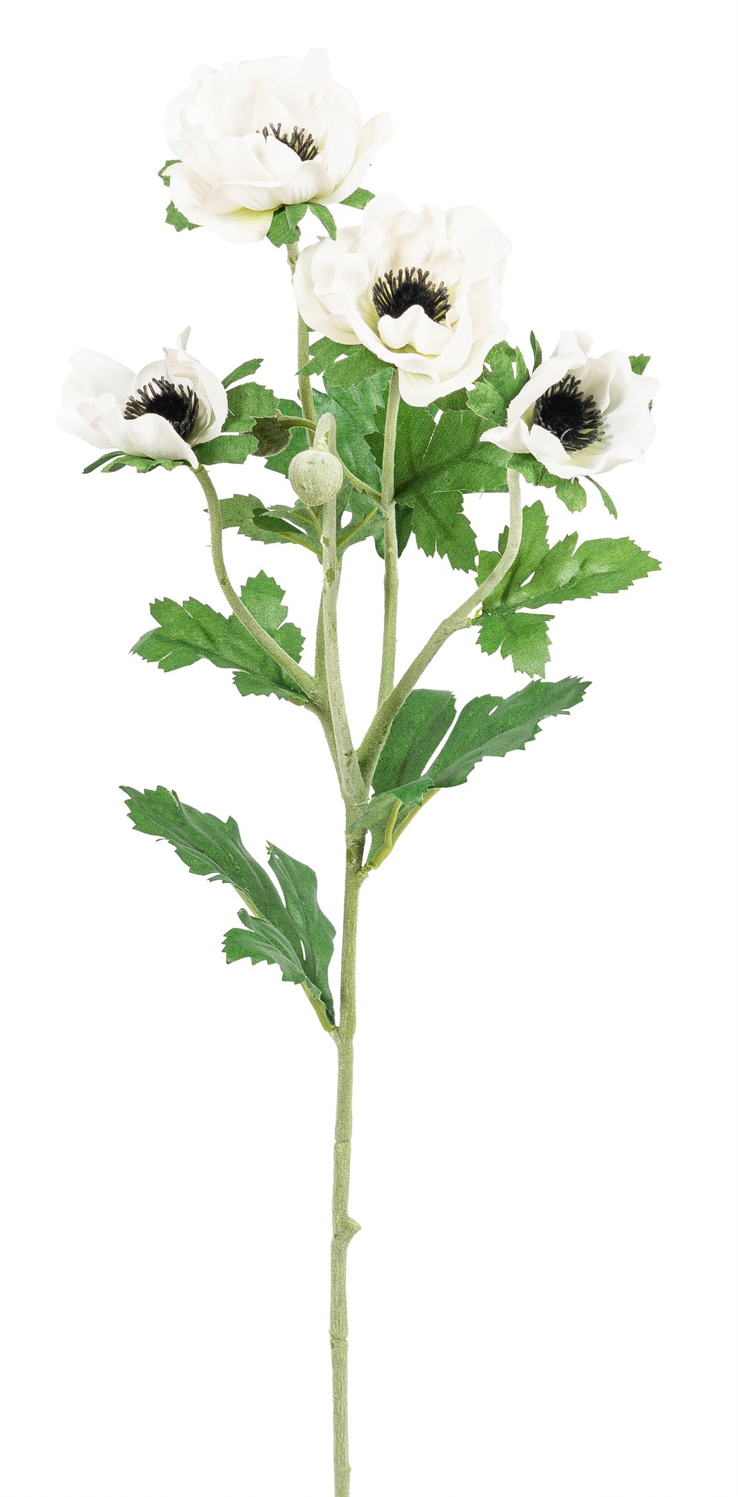 Anemonenzweig x 4 62cm Blütenkopf Ø ca. 4/6cm Farbe: weiß
