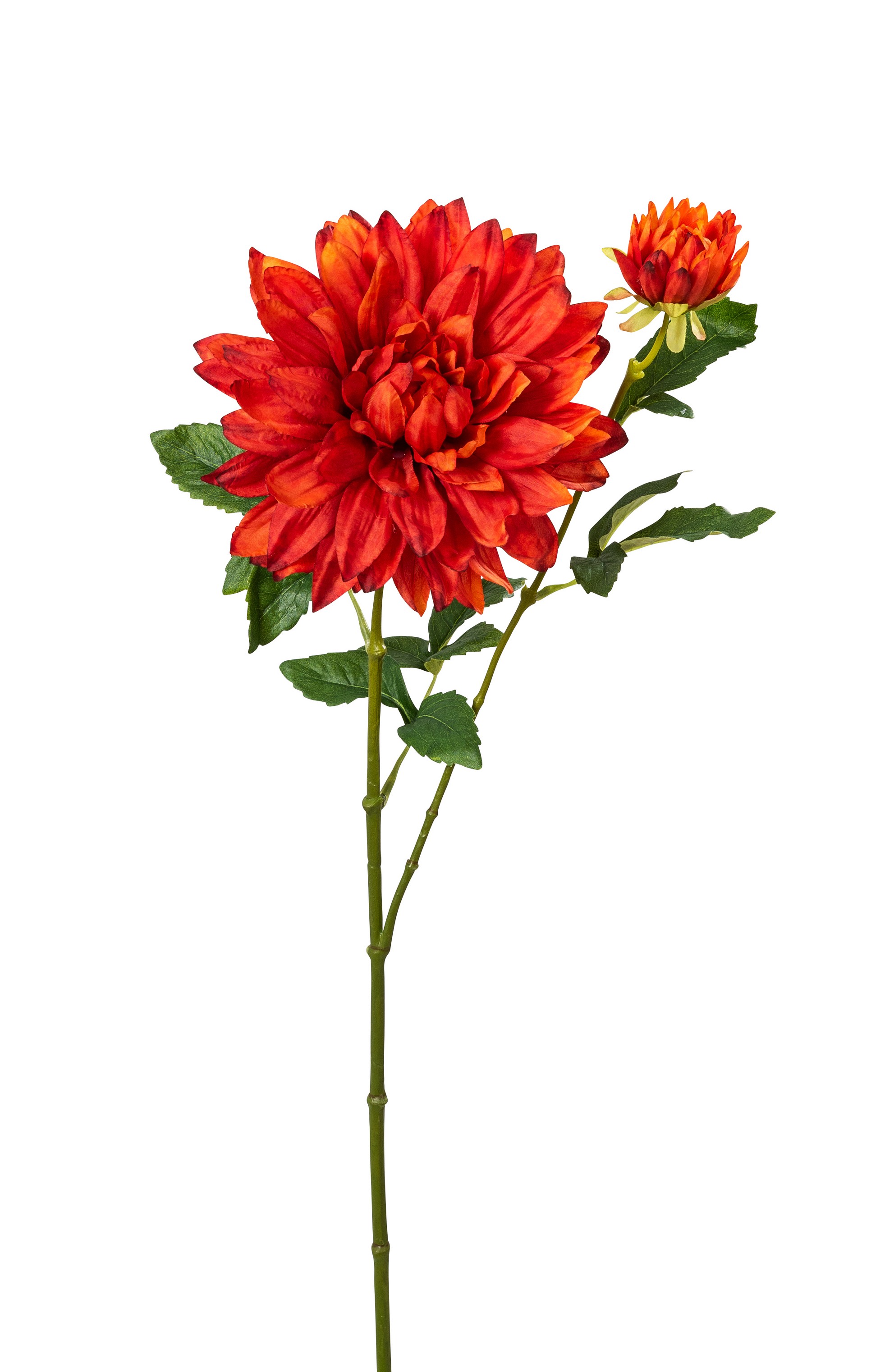 Dahlie x 2 62cm Blütenkopf Ø ca. 17,5cm Farbe: orange-rot