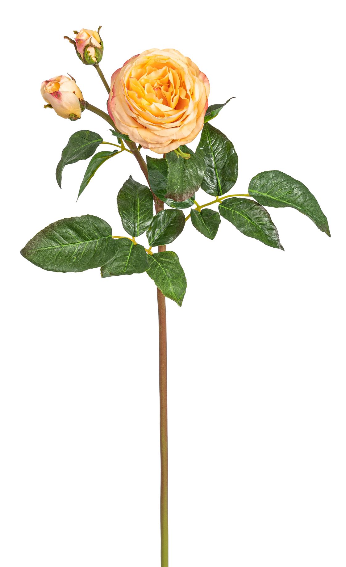 Gala-Rosenzweig x 3 52cm Blütenkopf Ø ca. 2/3/9cm Farbe: gelb-orange