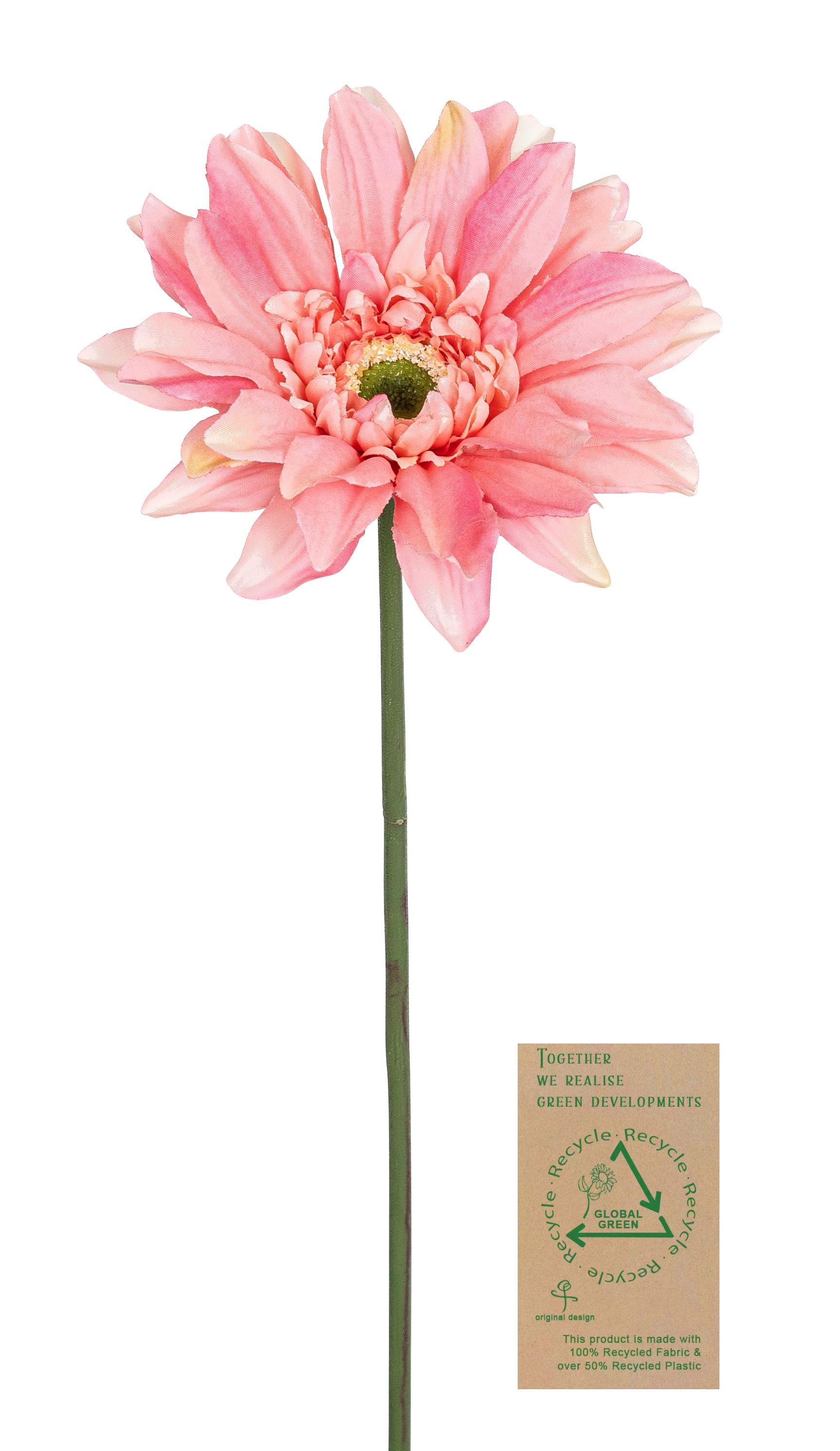 Gerbera RE 66cm Blütenkopf Ø ca. 12cm Farbe: malve