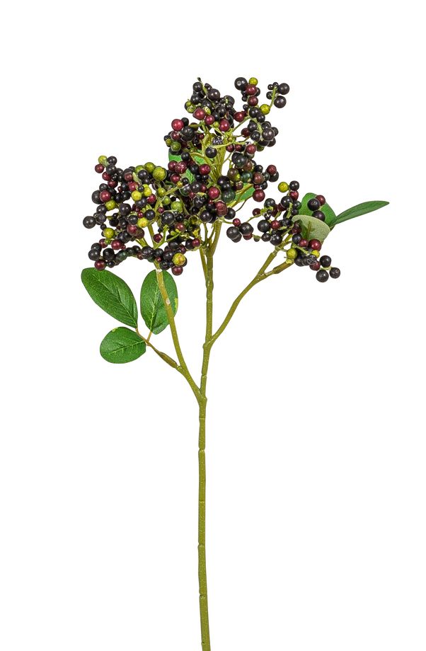Beerenpick 3-fach 35cm Farbe: lila-grün