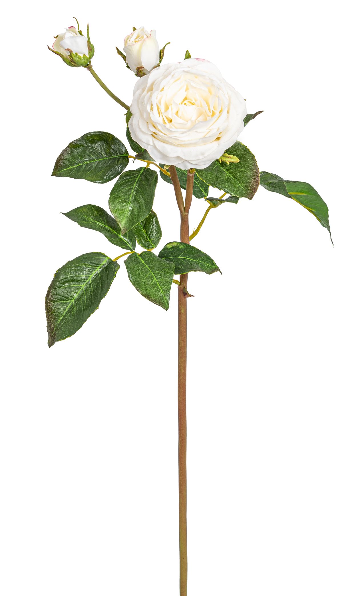Gala-Rosenzweig x 3 52cm Blütenkopf Ø ca. 2/3/9cm Farbe: elfenbein