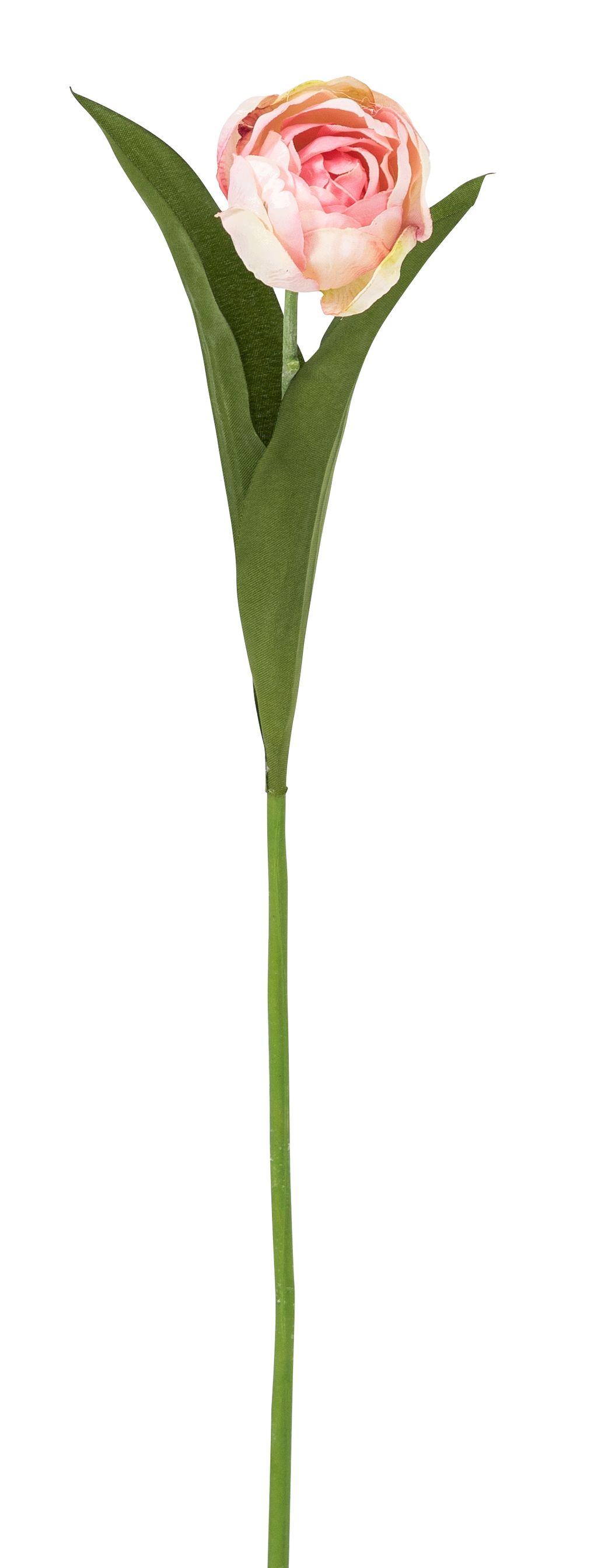 Tulpe 48cm Blütenkopf Ø ca. 5cm Farbe: rosé