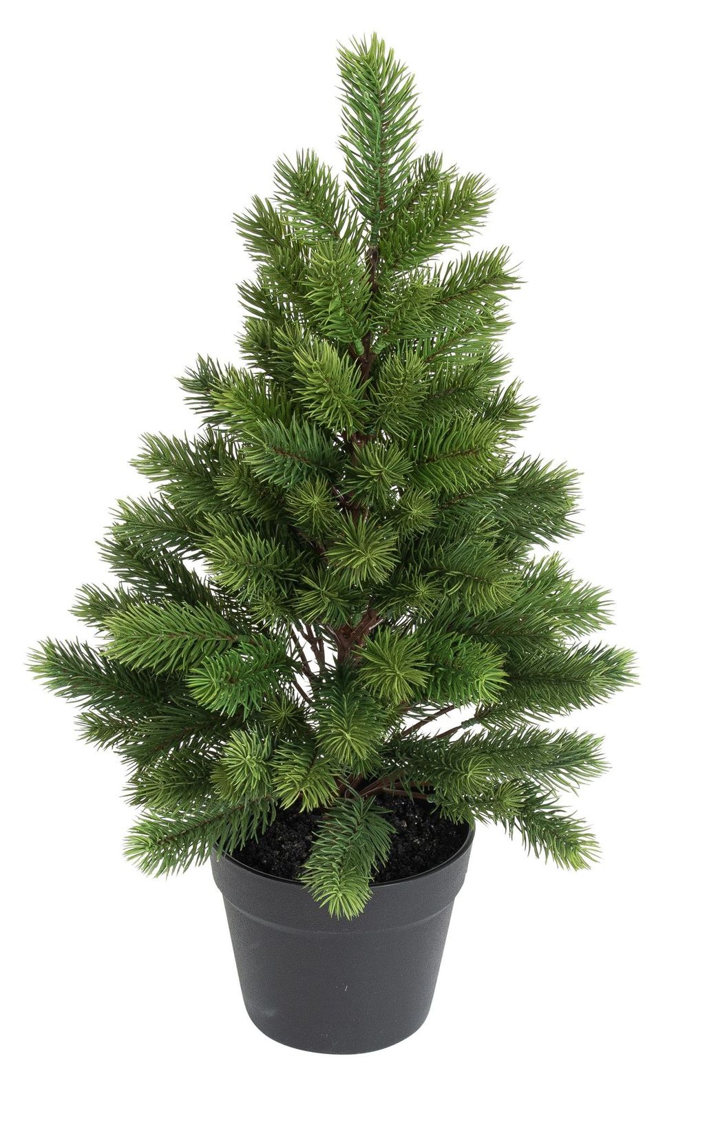 Tanne im Topf x 109 60cm Farbe: grün