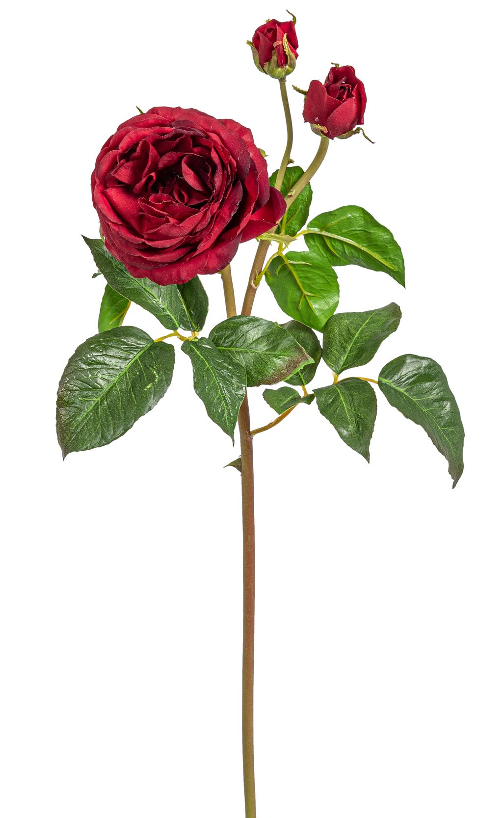 Gala-Rosenzweig x 3 52cm Blütenkopf Ø ca. 2/3/9cm Farbe: burgund