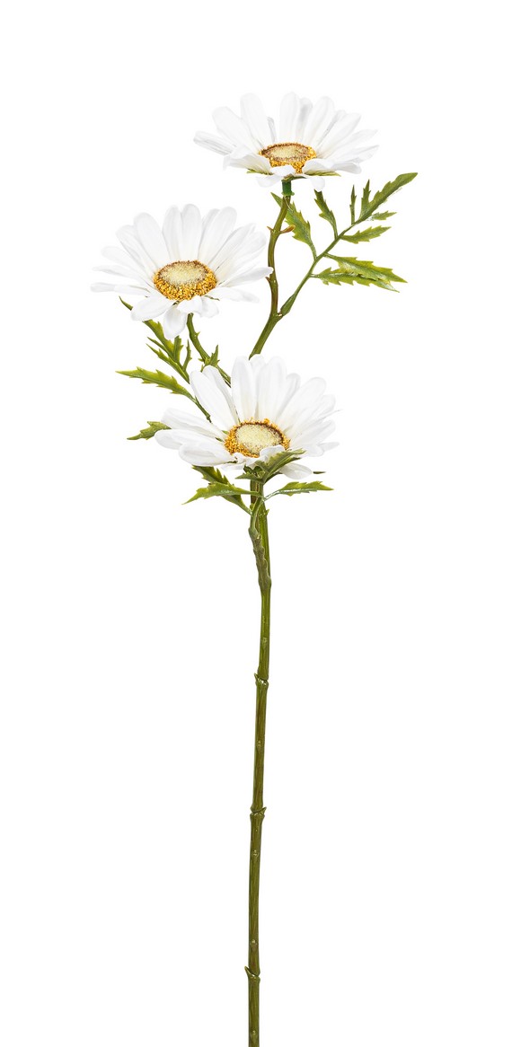 Margeritenzweig x 3 44cm Blütenkopf Ø ca. 7cm Farbe: weiß