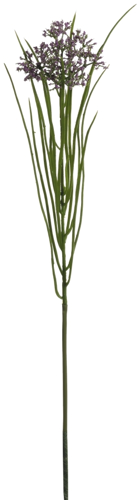 Dilldolde 50cm Farbe: helllila