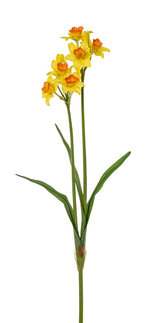 Narzisse 2-fach 62cm Blütenkopf Ø ca. 5cm Farbe: gelb