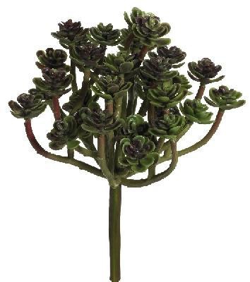 Hauswurz x 34 17cm Pick Ø ca. 12cm Farbe: grün