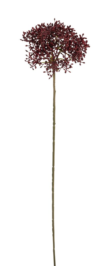 Holunderbeerenzweig 54cm Blütenkopf Ø ca. 10cm Farbe: burgund