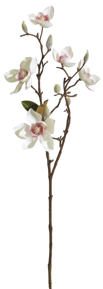 Magnolienzweig x 5 65cm Blütenkopf Ø ca. 6/9cm Farbe: elfenbein-rose