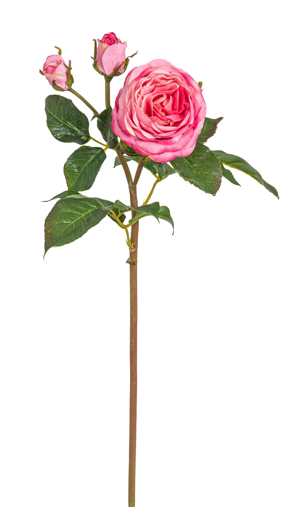 Gala-Rosenzweig x 3 52cm Blütenkopf Ø ca. 2/3/9cm Farbe: altrosé