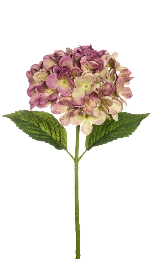 Hortensie 49cm Blütenkopf Ø ca. 16cm Farbe: lila-gemischt
