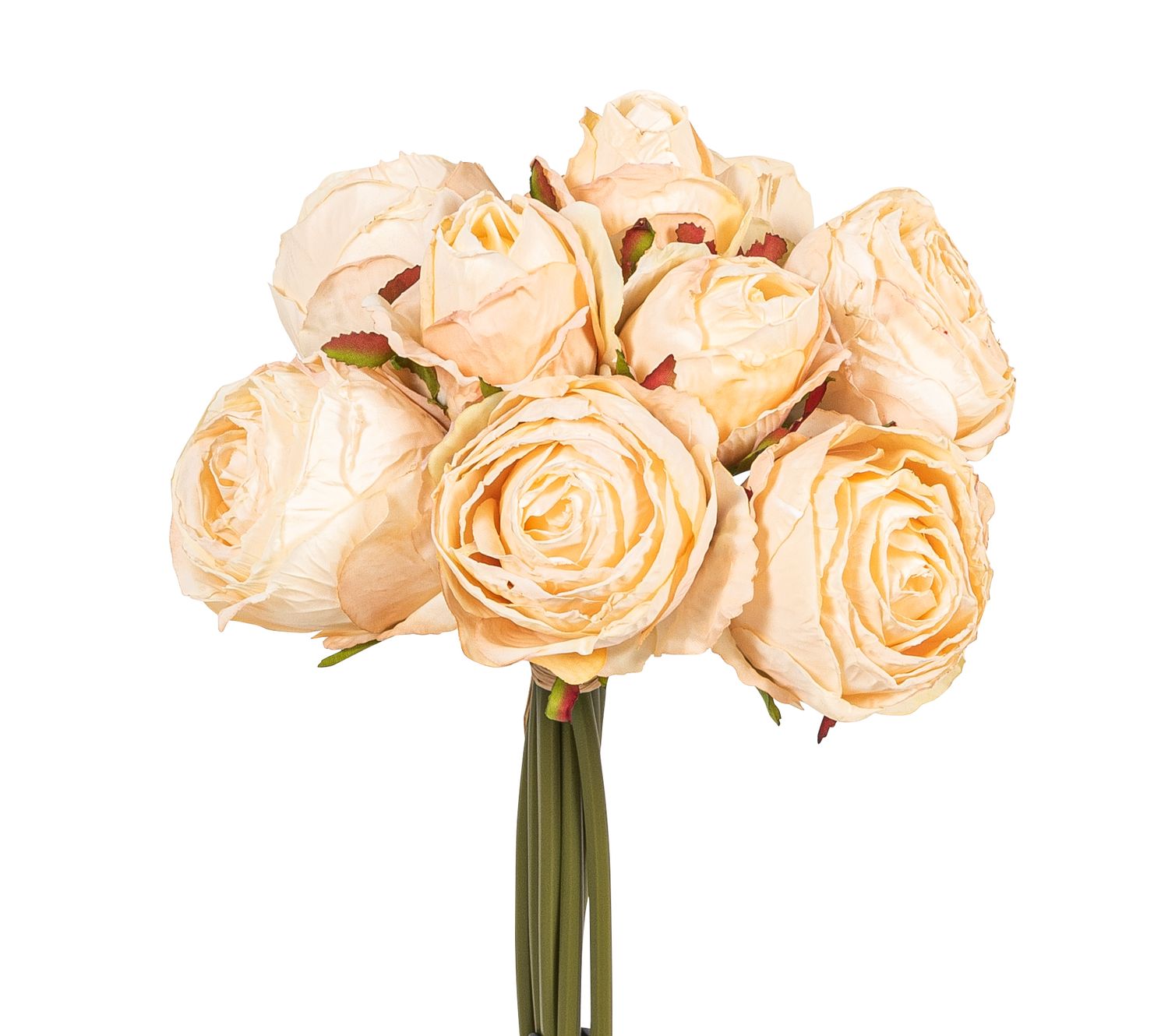 Rosenbund x 9 28cm Blütenkopf Ø ca. 6/7,5cm Farbe: creme