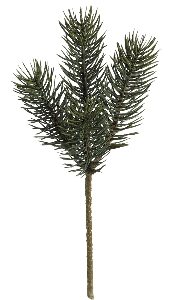 Nordmanntannenzweigch.4-f.24cm Farbe: grün