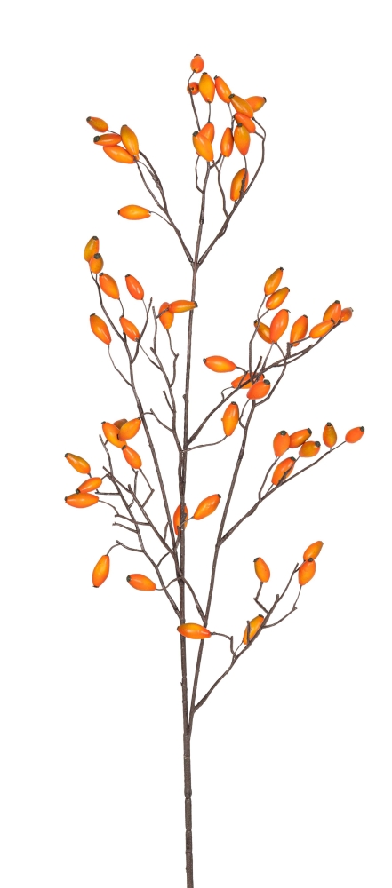 Hagebuttenzweig x 59 90cm Farbe: orange