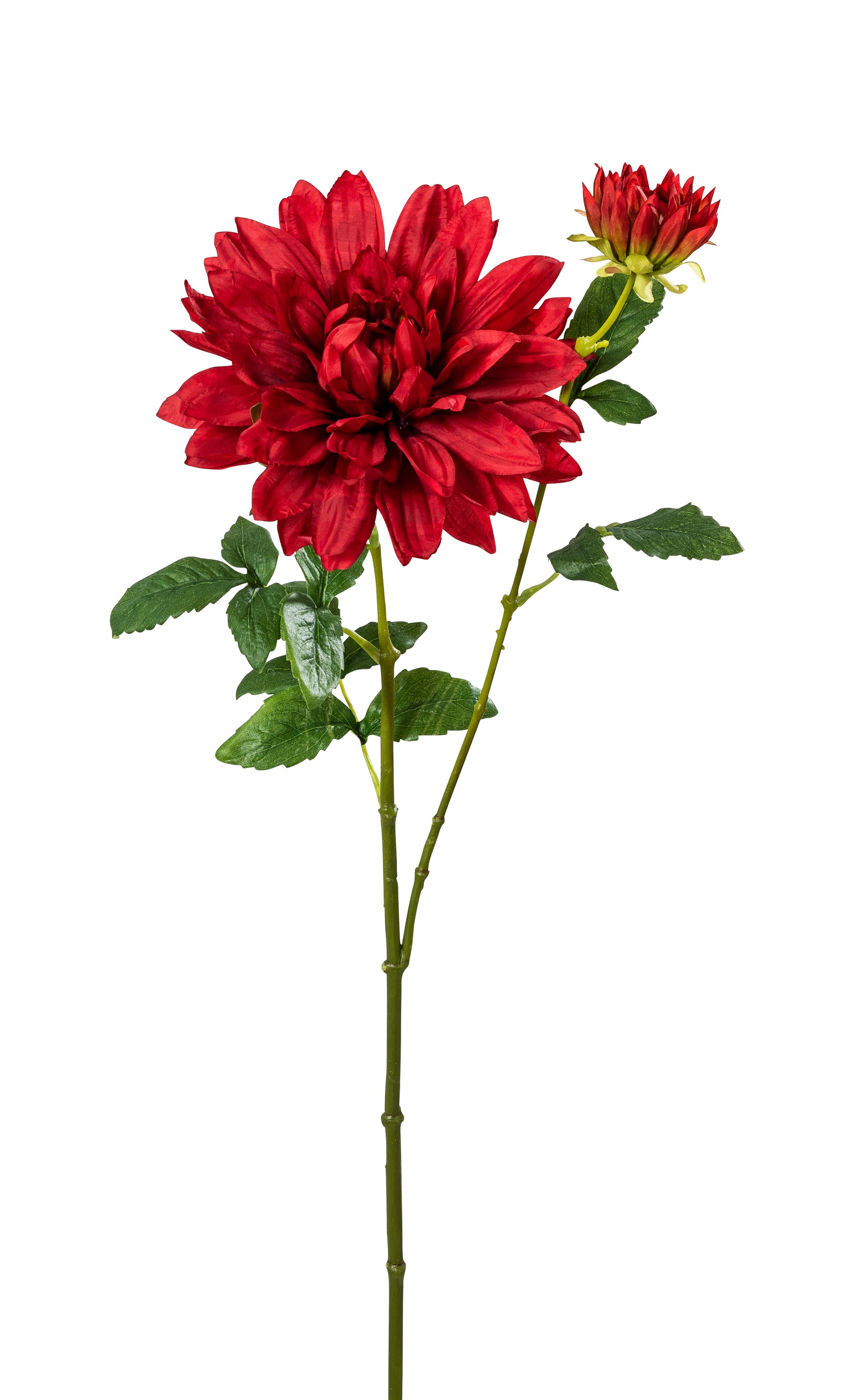 Dahlie x 2 62cm Blütenkopf Ø ca. 17,5cm Farbe: rot