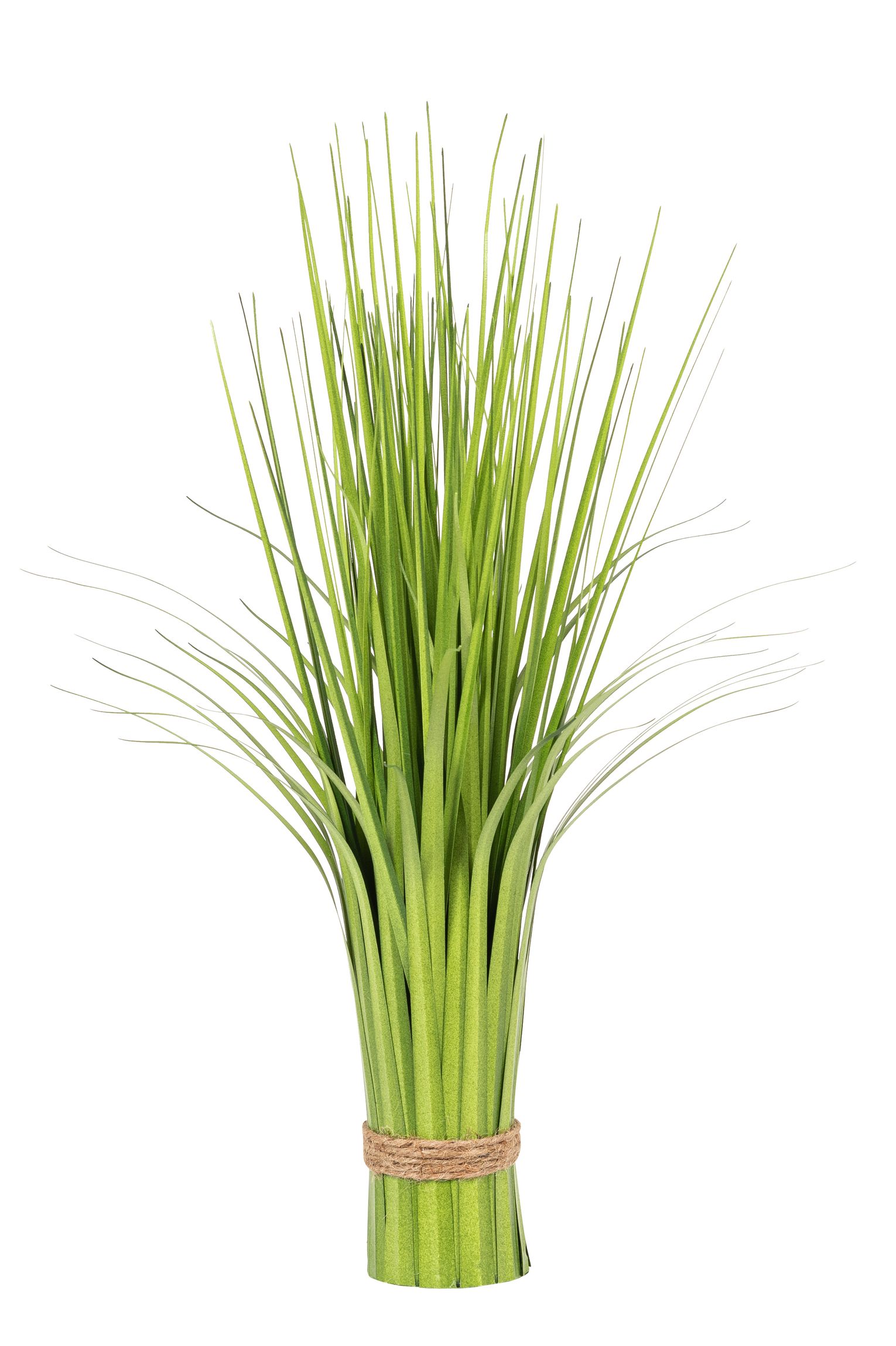 Grasbund stehend 48cm Farbe: grün