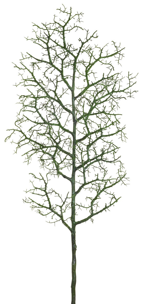 Korallenzweig 107cm Farbe: grün