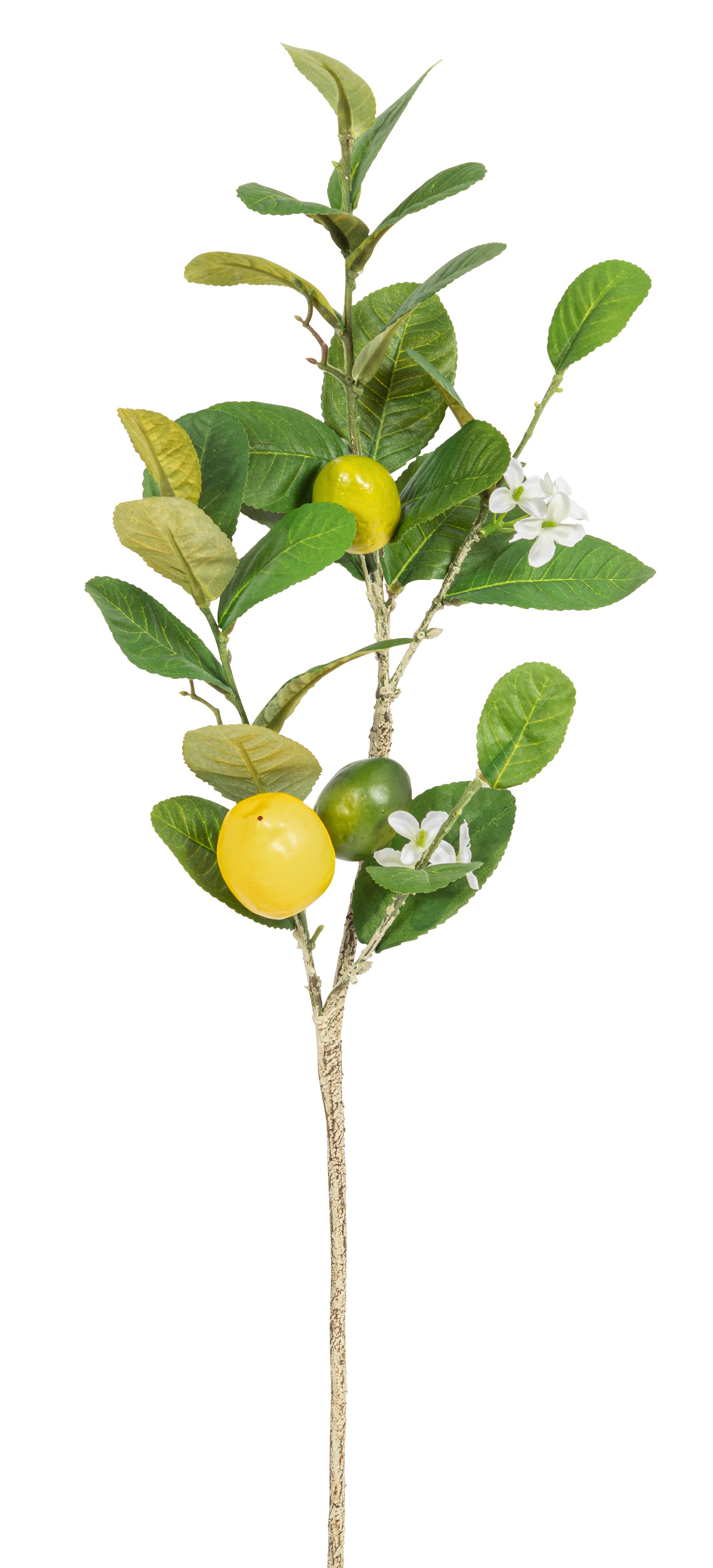 Zitronenzweig x 3 67cm Zitrone ca. 4,5/6cm Farbe: gelb