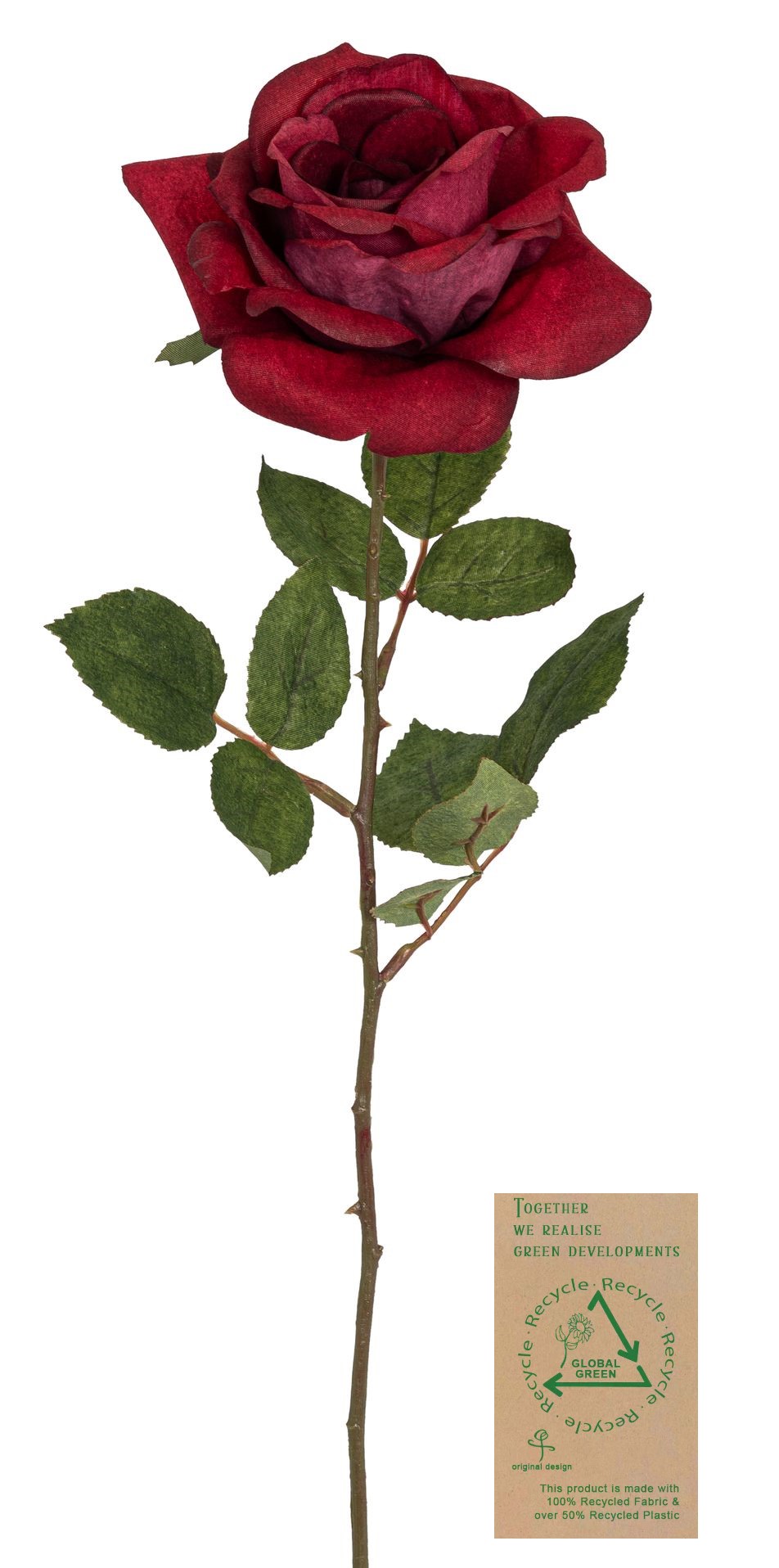 Prachtrose RE 63cm Blütenkopf Ø ca. 15cm Farbe: burgund