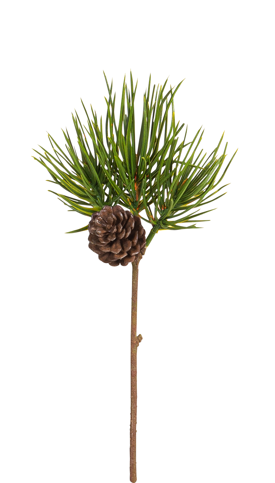 Kiefernzapfenpick x 3 28cm Farbe: grün